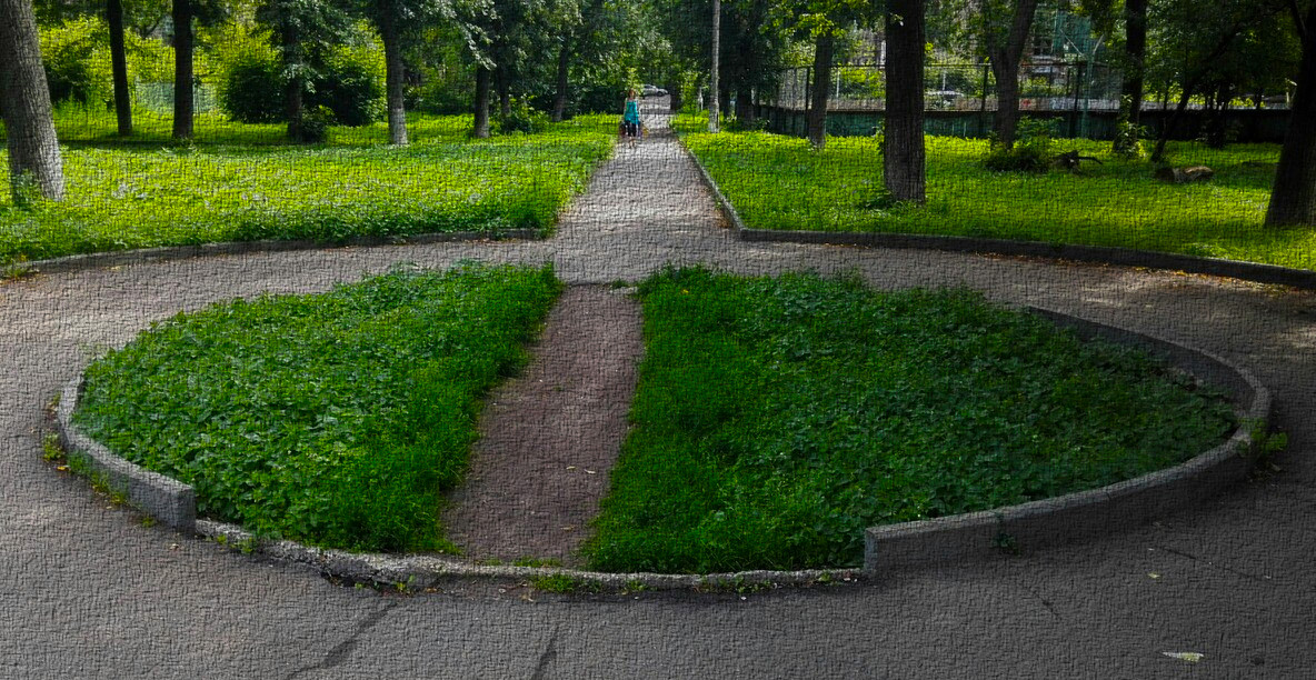 a desire path